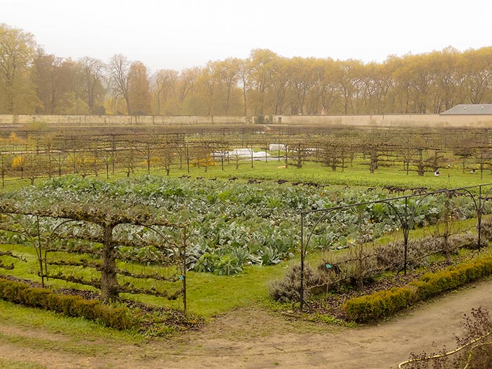 POTAGER VERSAILLES