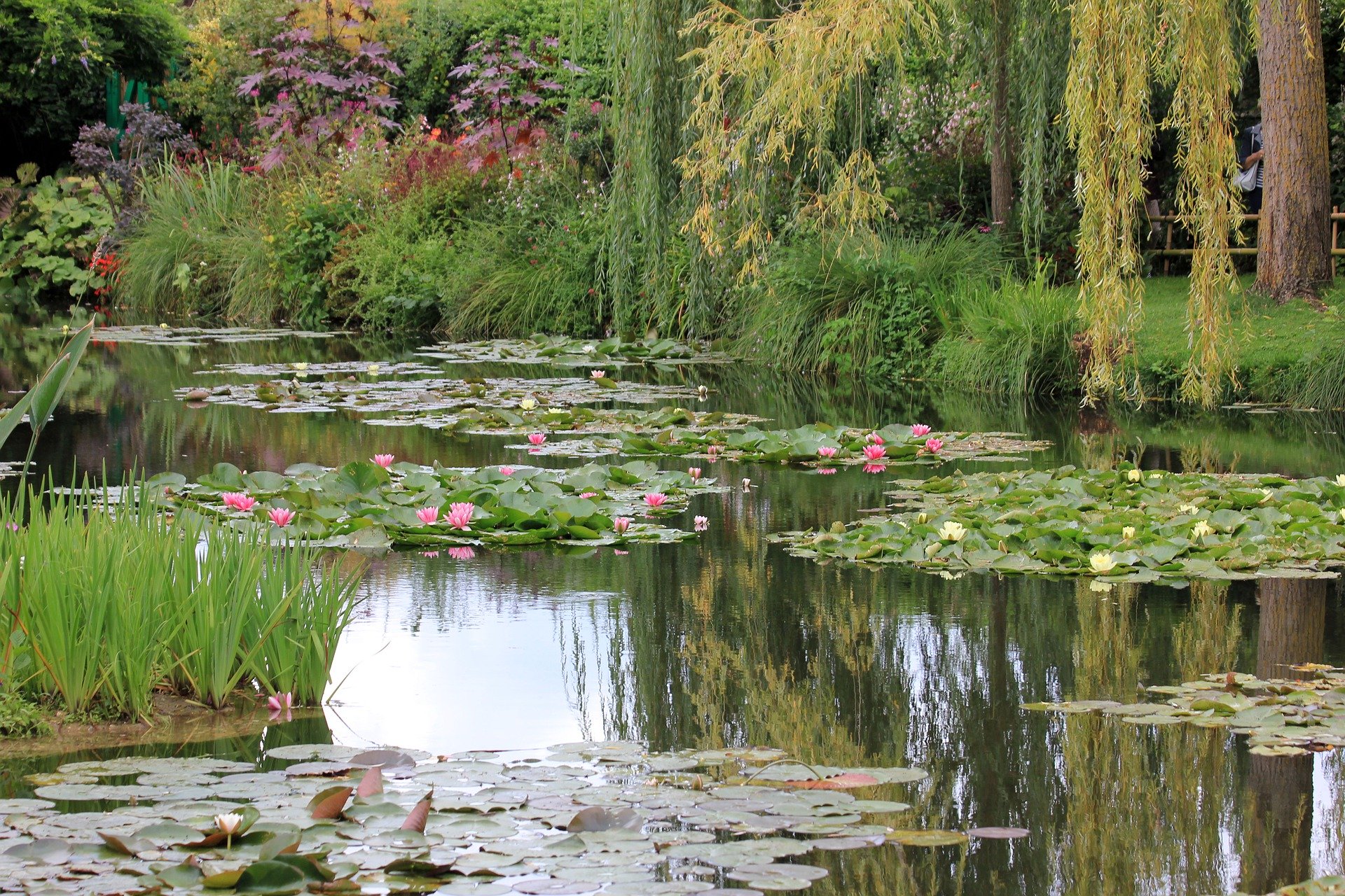Giverny, etang